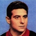 L. Buffon