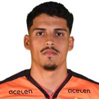 Fintelman De Mello Ribeiro Da Silva