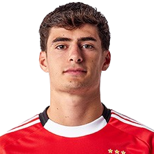 Pereira Albuquerque Tavares Silva