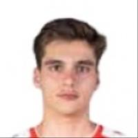 Vilela Gama Ribeiro Faria