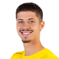 Amaral Ferreira Guimarães