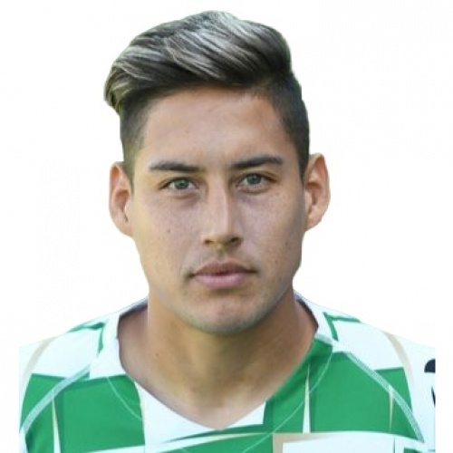 D. Texeira