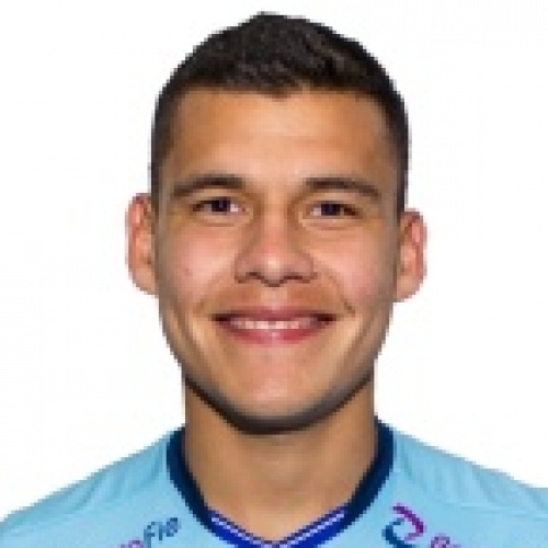 M. Villarroel