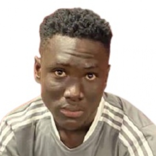 N. Houssou