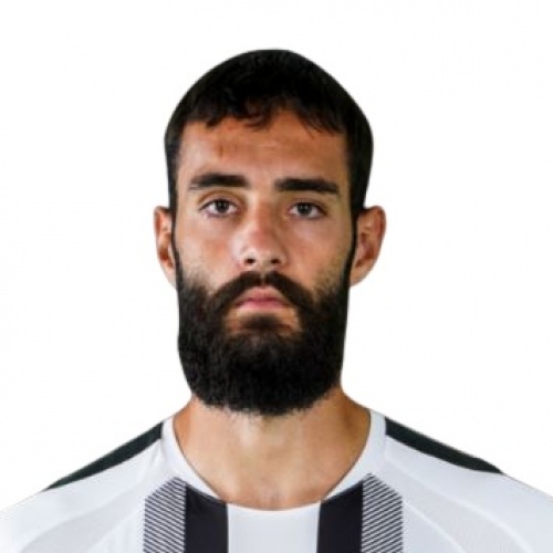V. Selimovic