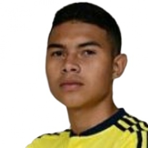 Y. Meneses