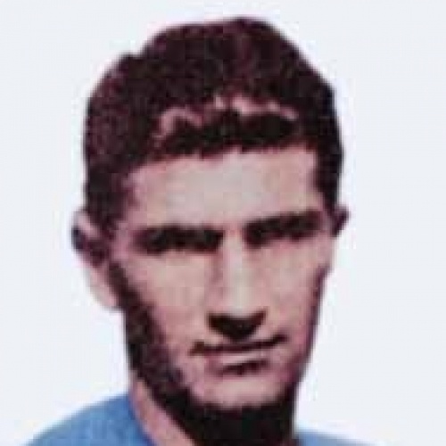 Gino Colaussi