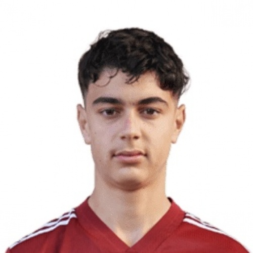 Aleksandar Pavlovic
