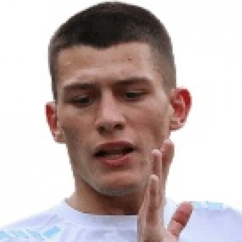 M. Cvjetinovic