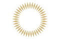 Liga CONCACAF