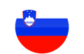 ISO Country Code - si