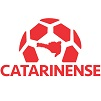 Catarinense 1