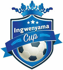Logo - Copa Eswatini