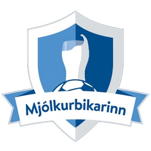 Logo - Iceland Women's Cup