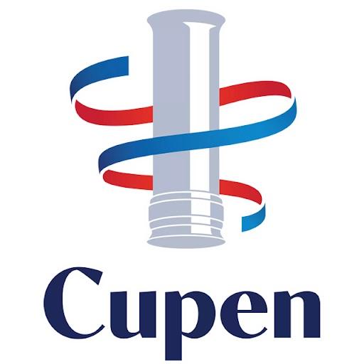Logo - Copa Noruega Femenina