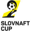 Slovak cup winner
