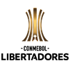 Copa Libertadores winner