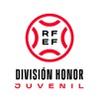 Division de Honor