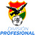 Primera División Bolivia - Clausura