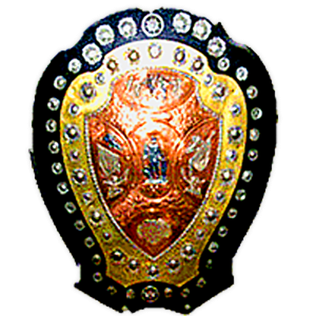 Logo - IFA Shield