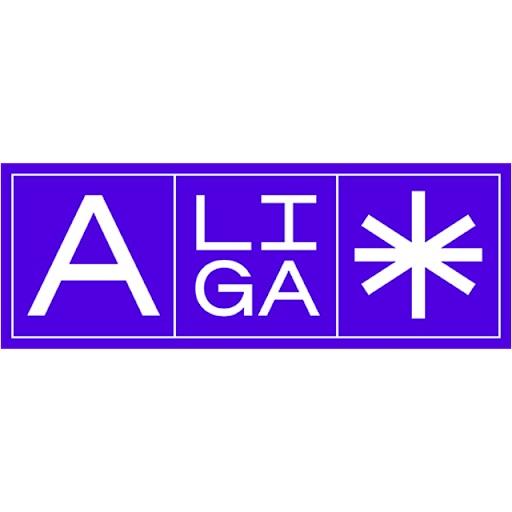 Logo - Liga Dinamarca Femenina