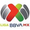 Liga MX Finals Cl.