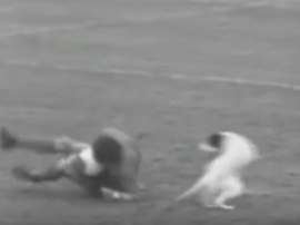 Acción en la que un perro lesionó a Chic Brodie. Youtube