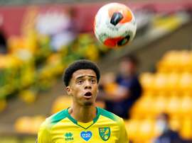 Jamal Lewis has signed for Newcastle from Norwich City. AFP