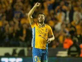 Tigres forward Andre-Pierre Gignac saw a hypnotist so he could break a two month goal drought