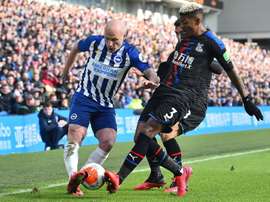 The Latest News From Brighton Hove Albion Squad Results Table