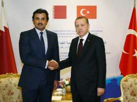 Erdogan (R) and Emir of Qatar Sheikh Tamim bin Hamad Al Thani shake hands. AFP