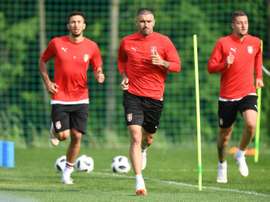 Grujic was at the World Cup with Serbia. AFP
