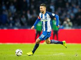 Bosnian trailblazer Ibisevic quits national team. AFP