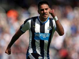 Mitrovic não faz parte dos plano de Rafael Benitez . EFE