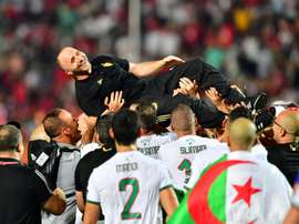 Belmadi n'est pas surpris par Slimani. AFP
