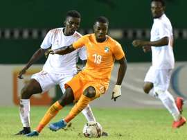Ivory Coast saw off Niger. AFP