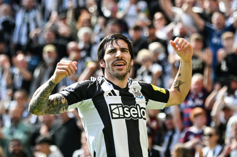 El Newcastle frena la euforia del Chelsea