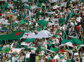 Thousands of Algeria fans have followed their country at this year's African Cup of Nations. AFP