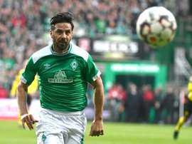 Veteran Pizarro to continue at Werder Bremen. AFP
