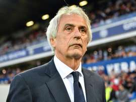 Vahid Halilhodzic sur l'Algérie et le Sénégal. AFP