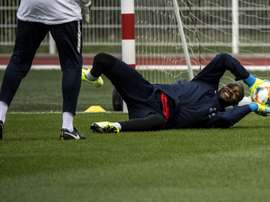 Bleus: tapis rouge pour Mandanda, le Phénix de l'OM. AFP