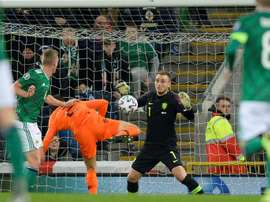 Les Pays-Bas sont qualifiés pour l'Euro-2020. AFP
