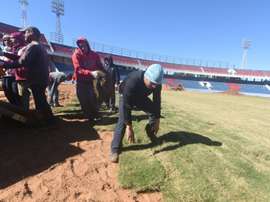 Des ultras du club paraguayen de Cerro Porteno posent la pelouse de leur nouveau stade. AFP