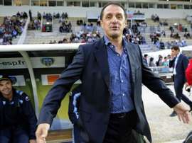 Faruk Hadzibegic, alors entraîneur dArles-Avignon. AFP