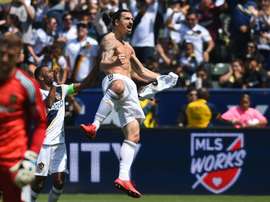 Ibrahimovic made all the headlines. AFP