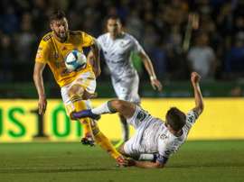 Gignac ne cesse d'impressionner. AFP
