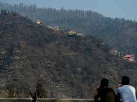 Les dégâts causés pas les incendies à Babosas Funchal sur lîle de Madère, le 11 août 2016