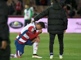 El jugador del Granada se lesionó ante el Atlético de Madrid. EFE/Archivo