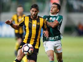 El 'verdao' consiguió remontar un marcador adverso de 2-0. EFE