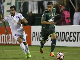João Pedro, emprestado à Chapecoense pelo Palmeiras. EFE